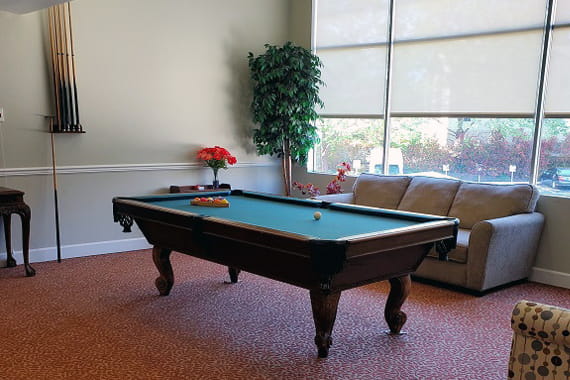 Avamere at Park Place Pool Table